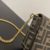 Fendigraphy Wallet On Chain