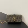 Fendigraphy Wallet On Chain