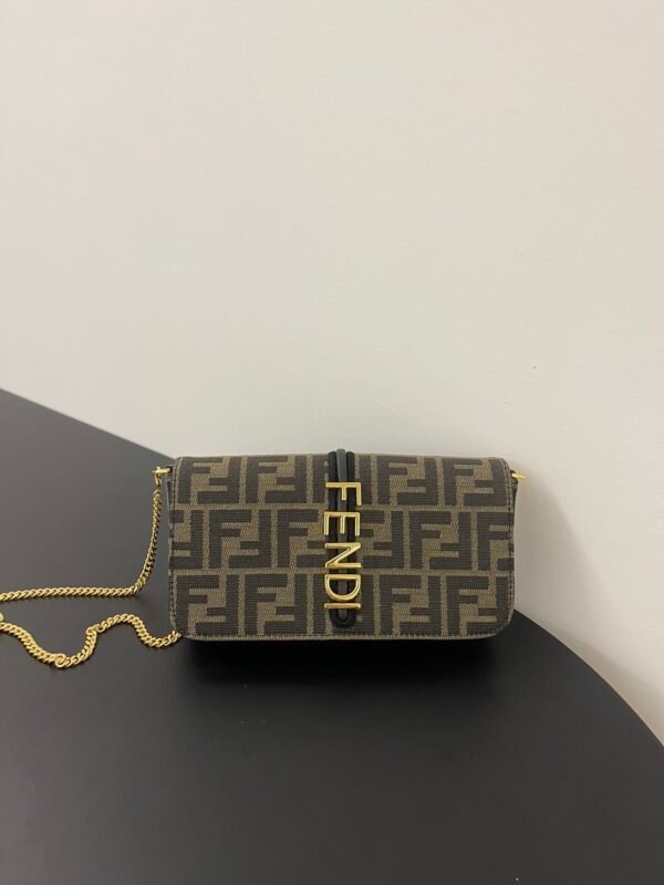 Fendigraphy Wallet On Chain