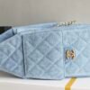 CHANEL 25 Calfskin Hobo Bag Small Handbag