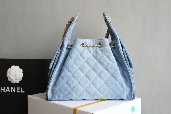 CHANEL 25 Calfskin Hobo Bag Small Handbag