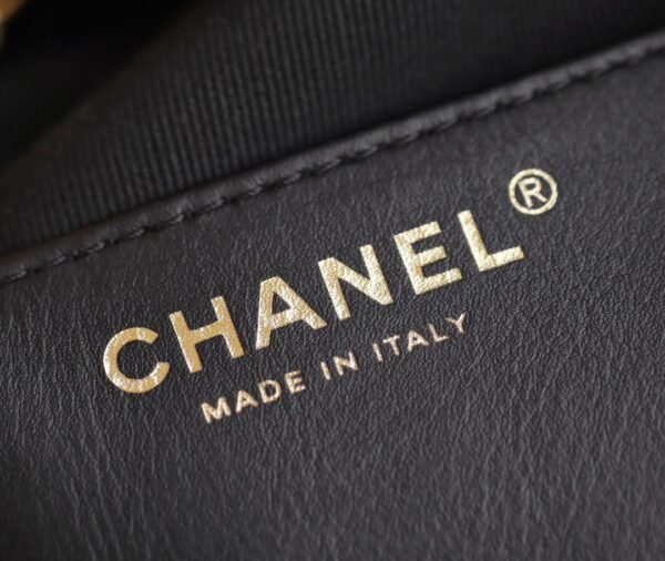 CHANEL 25 Calfskin Hobo Bag Small Handbag