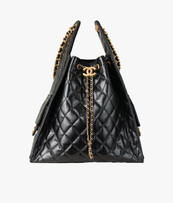 CHANEL Chanel 25 Bag Medium Hobo Bag AS5311