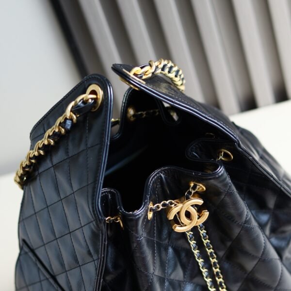 CHANEL Chanel 25 Bag Medium Hobo Bag AS5311
