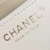 CHANEL 25 Calfskin Hobo Bag Small Handbag