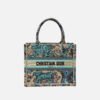 Small Dior Book Tote