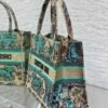 Small Dior Book Tote