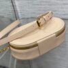 Dior CD Signature Oval Camera Bag Apricot color