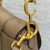 Dior Saddle Bag with Strap Beige