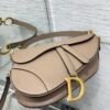 Dior Saddle Bag with Strap Beige