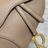 Dior Saddle Bag with Strap Beige