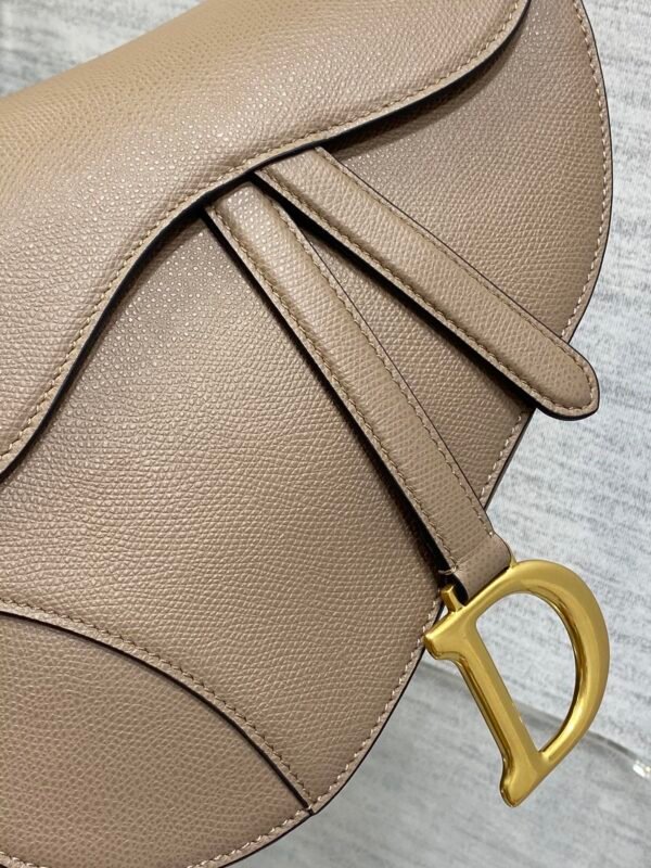 Dior Saddle Bag with Strap Beige