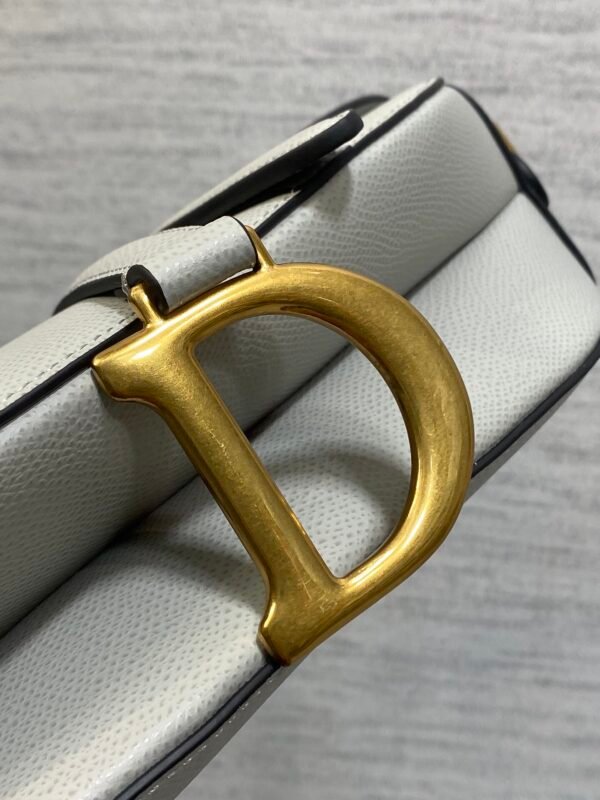 Dior Saddle Bag with Strap