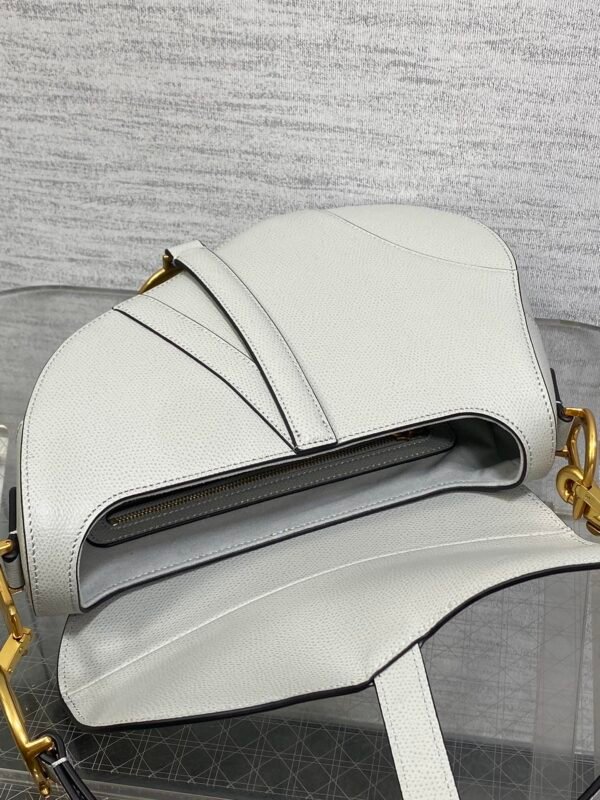 Dior Saddle Bag with Strap