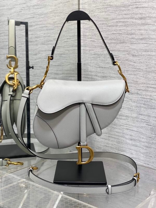 Dior Saddle Bag with Strap