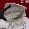 Medium Lady D-Lite Bag