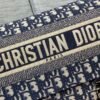 Dior Medium Diorcamp Bag