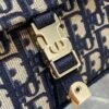 Dior Medium Diorcamp Bag