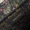 Small Dior Book Tote