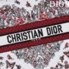 Large Dior Book Tote