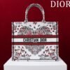 Large Dior Book Tote