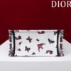 Small Dior Book Tote