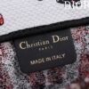 Small Dior Book Tote