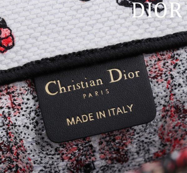 Small Dior Book Tote