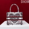 Small Dior Book Tote
