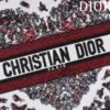 Small Dior Book Tote