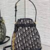 Medium C'est Dior Bag