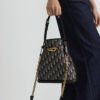 Medium C'est Dior Bag