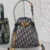 Medium C'est Dior Bag