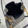 Medium C'est Dior Bag