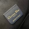 Medium C'est Dior Bag