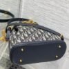 Medium C'est Dior Bag