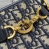 Medium C'est Dior Bag
