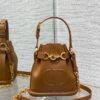 Small C'est Dior Bag Golden Saddle CD-Embossed Calfskin