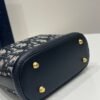 Small C'est Dior Bag Blue Dior Oblique Jacquard Bucket bag