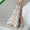 Louis Vuitton CarryAll PM Multicolor Beige M24707