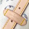 Louis Vuitton CarryAll PM Multicolor Beige M24707