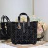 Medium Dior Toujours Vertical Tote Bag