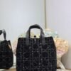 Medium Dior Toujours Vertical Tote Bag
