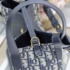 Dior Medium Signature Bucket Bag Blue Dior Oblique Jacquard