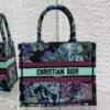 Small Dior Book Tote