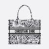 Medium Dior Book Tote Paris map