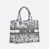 Medium Dior Book Tote Paris map
