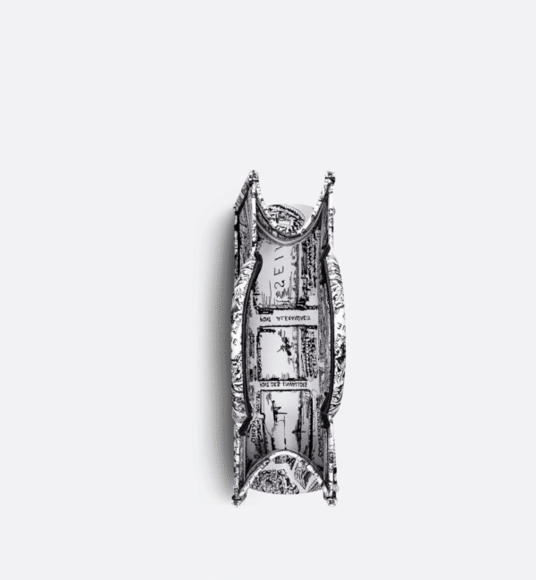 Medium Dior Book Tote Paris map