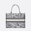 Medium Dior Book Tote Paris map
