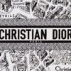 Medium Dior Book Tote Paris map